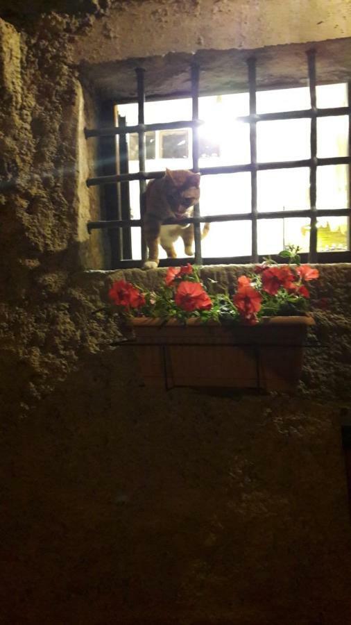 L'Arco Di Sersa Riccò del Golfo di Spezia Exterior foto